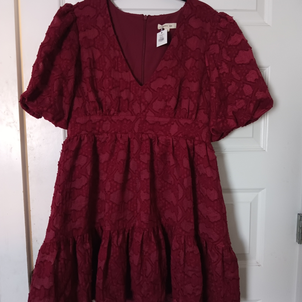 Just Me Deep Red Lace Mini Dress